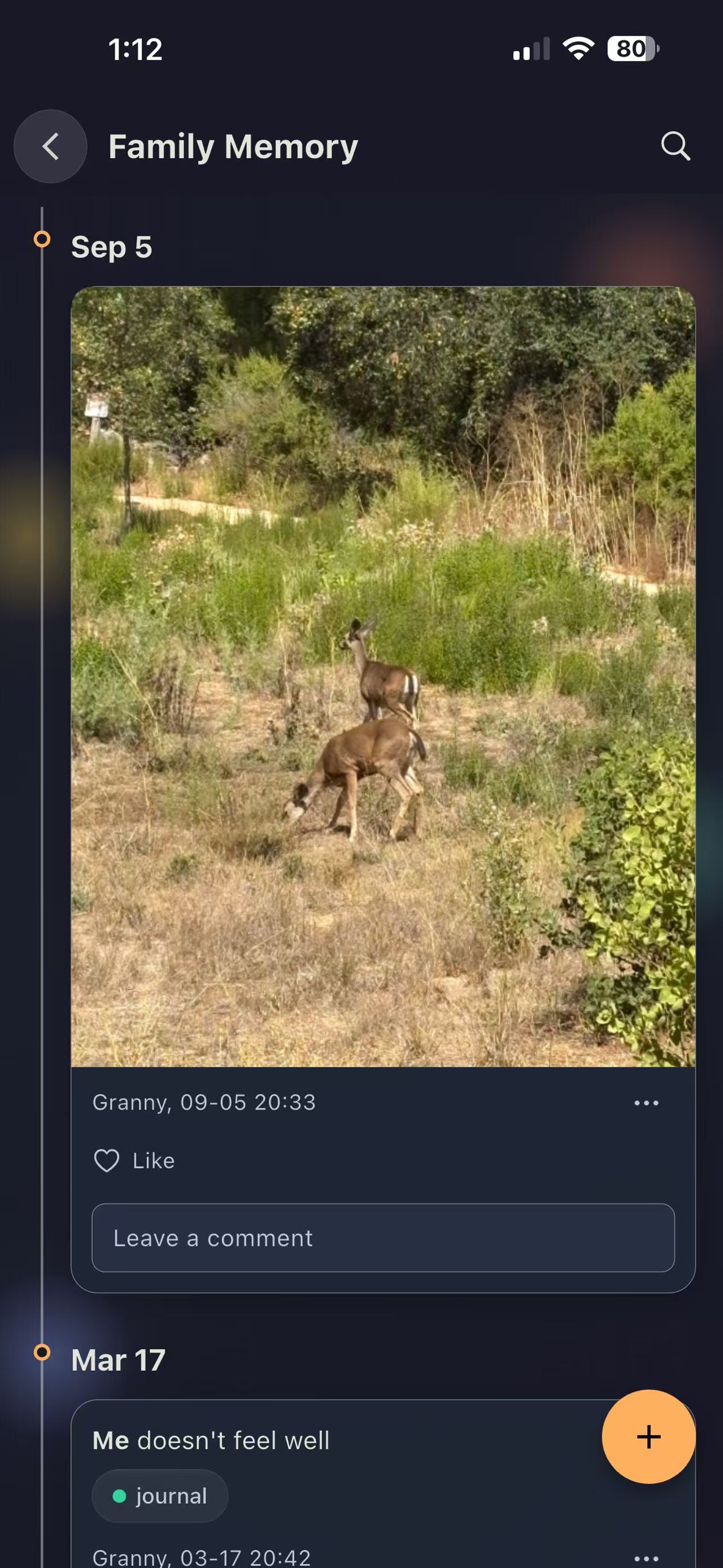 Family Memory timeline: a photo posted by a family member with like and comment actions.